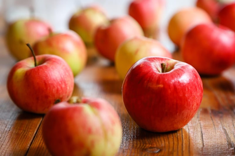 Fruit Harvest Tips