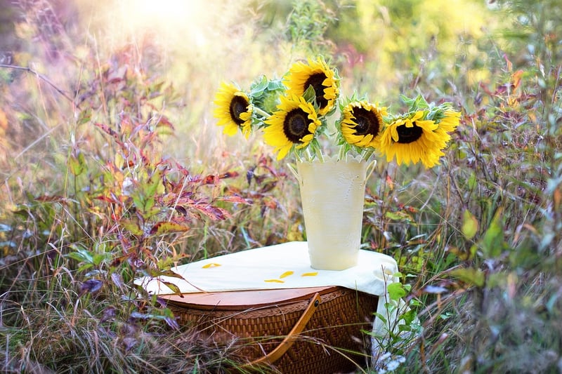 Herb Garden Kit
